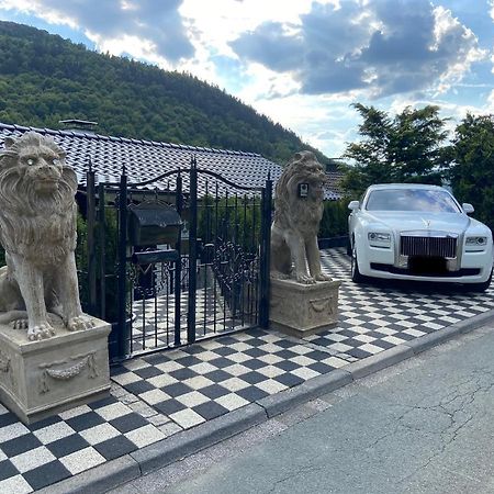 Vip Haus Winterberg Villa Kültér fotó