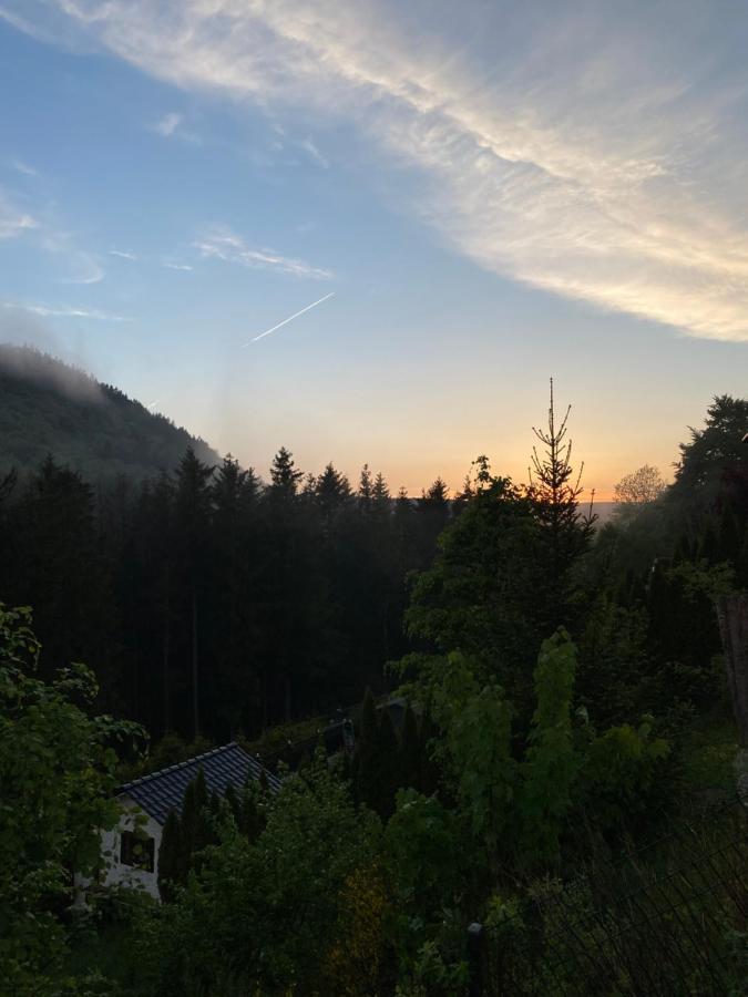 Vip Haus Winterberg Villa Kültér fotó